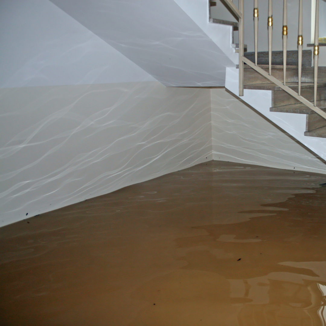 How to Handle Basement Flooding in the Summer | Flood Solutions Inc.