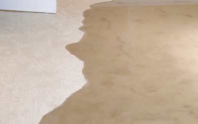 How To Restore A Flooded House in Oceanside, CA