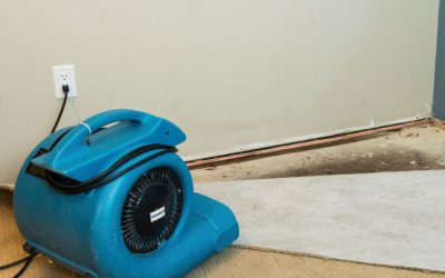 How Much Does Water Damage Devalue A House in Oceanside, CA?